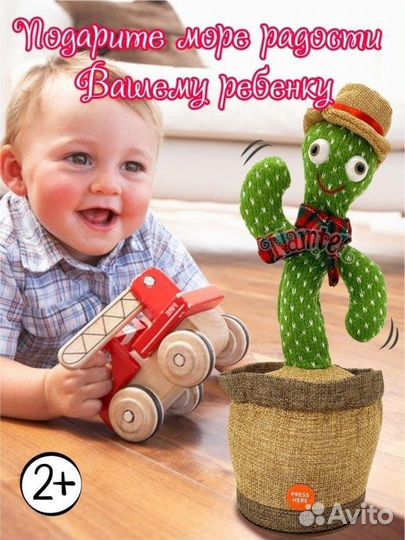 Кактус - повторюшка танцует