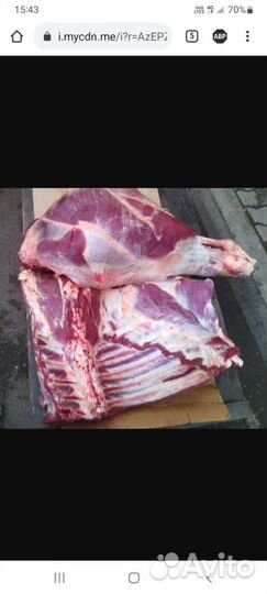 Мясо Телятины