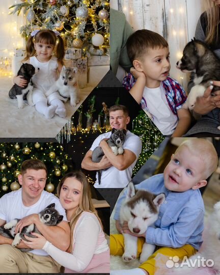 Фотосессии барнаул