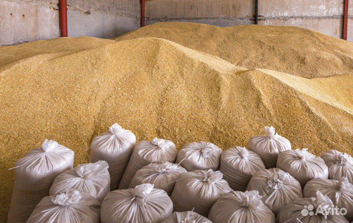 Солома овес2023