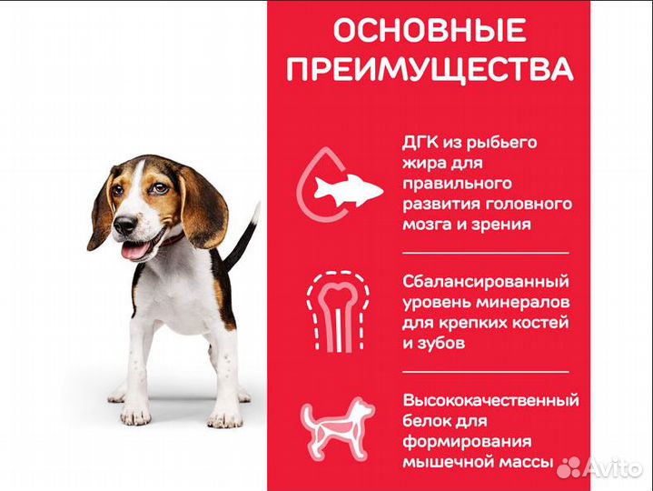 Сухой корм Hill's ягненок и рис 12 кг