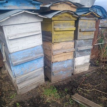 Продаются улей