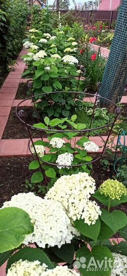 Опора для растений