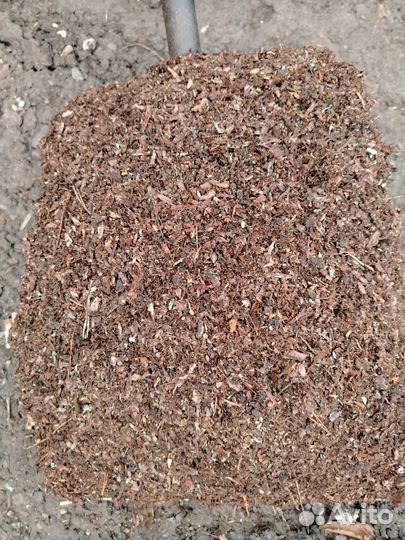 Кора сосны отборная