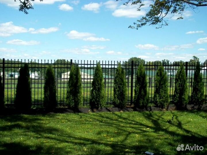 Металлический забор из профильной трубы