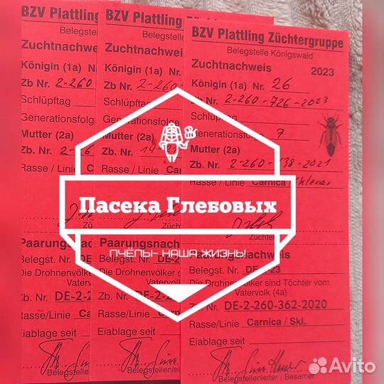 Пчелопакеты «Карника» и «Бакфаст»