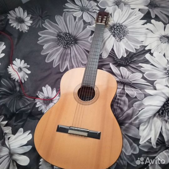 Акустическая гитара