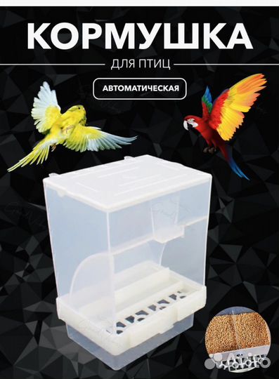Автокормушка для птиц попугаев