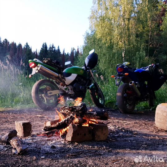 Honda cb 250 Hornet