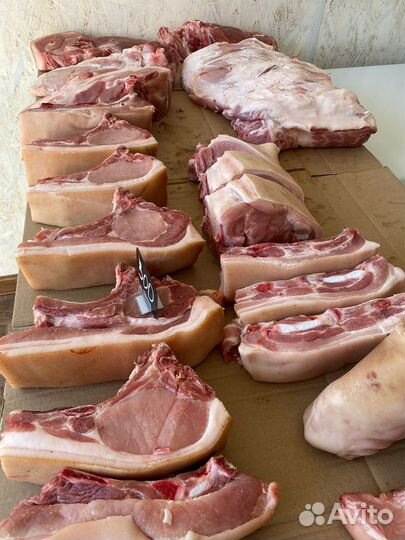 Мясо свинина