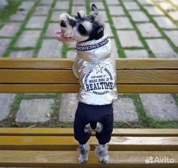 Комбинезон для собаки