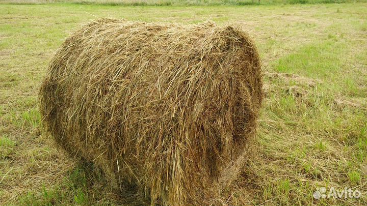 Сено (рулоны)