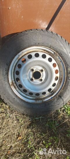 Viatti Brina V-521 195/65 R15