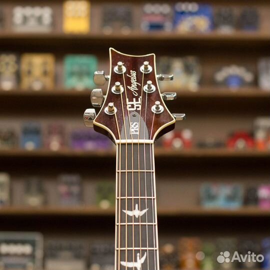 PRS SE Angelus Custom (used)