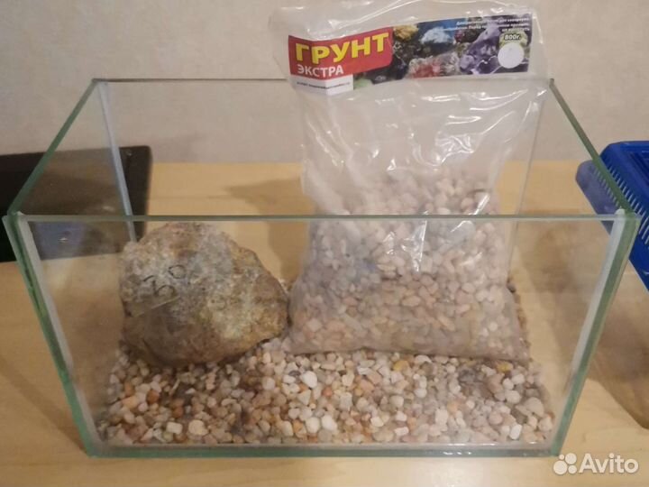 Террариум
