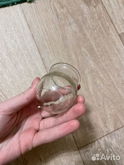 Вакуумные банки стеклянные 10 штук