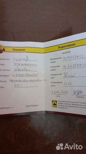 Продажа маток Бакфаст, Карника