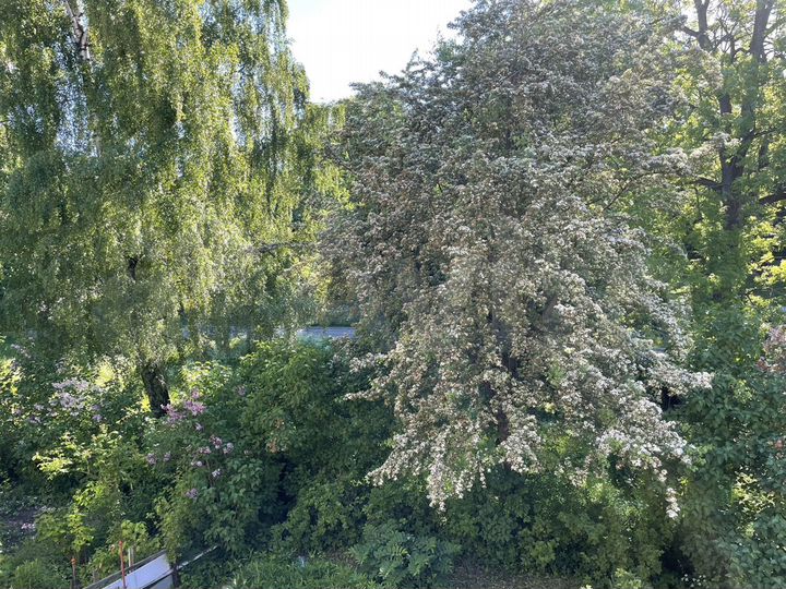 1-к. квартира, 29 м², 2/2 эт.