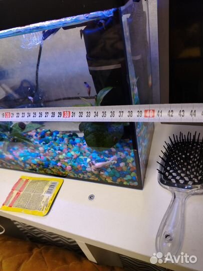 Аквариум