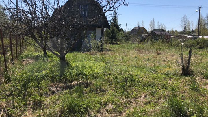 Участок 6 сот. (СНТ, ДНП)