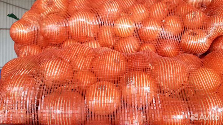 Продаётся лук оптом