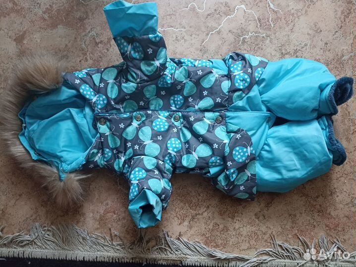 Продам костюм для собаки