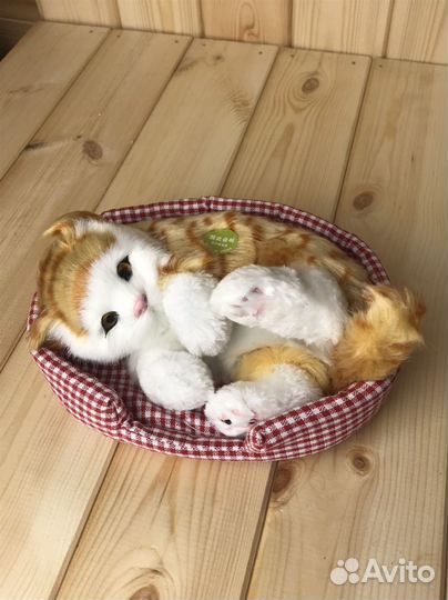 Кот со звуком