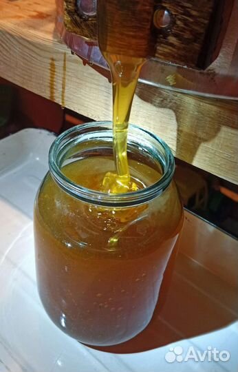 Мёд, урожай 2023 г