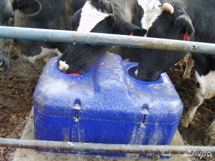 Термо-поилки крс, мрс