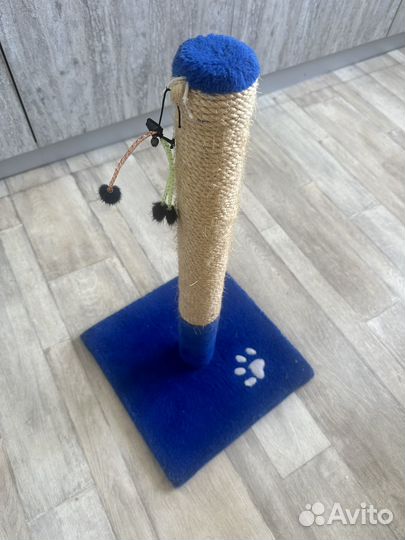 Когтеточка