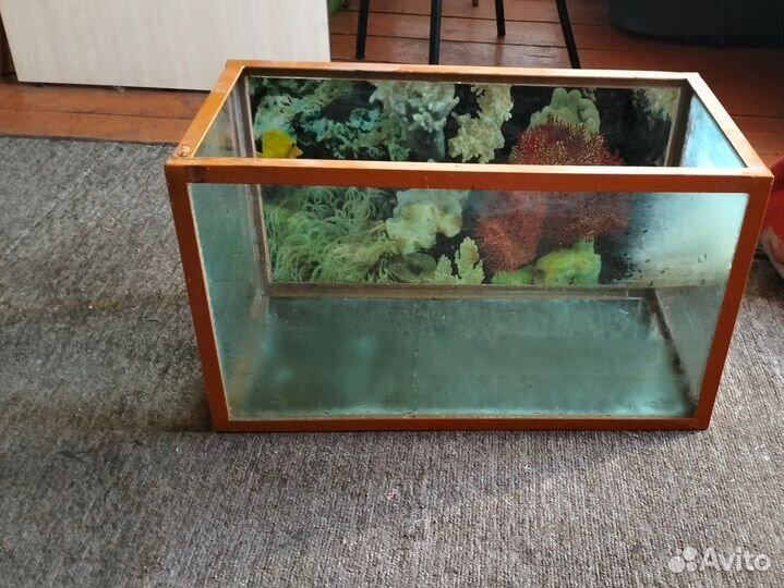 Аквариум