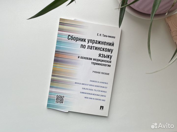 Латынь, латинский язык