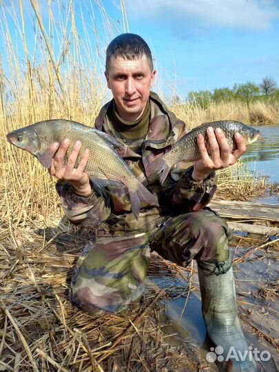 Снасти на сазана,леща,карася,толстолоба