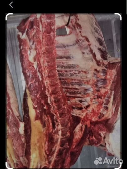 Мясо говядина
