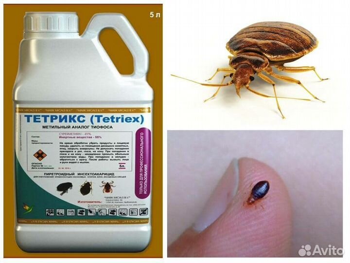 Дез средства от насекомых грызунов плесени