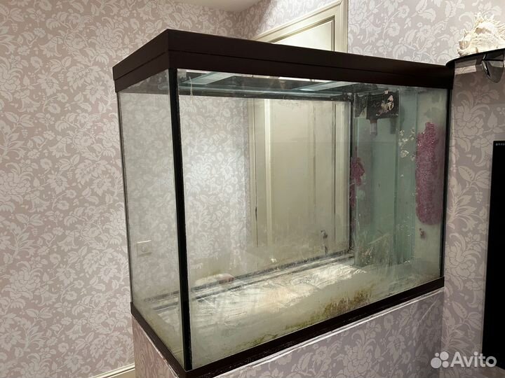 Аквариум пустой 450л
