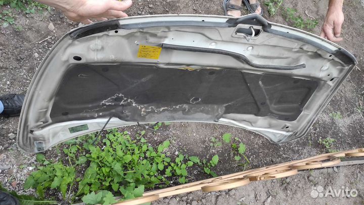 Mitsubishi Grandis капот