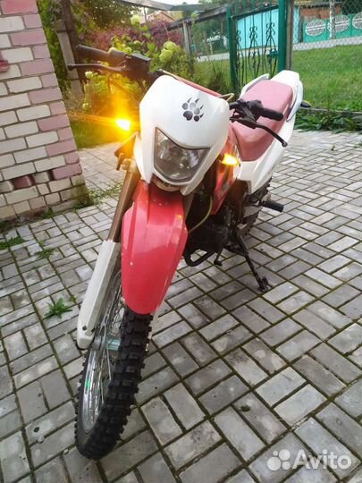 Irbis ttr250r