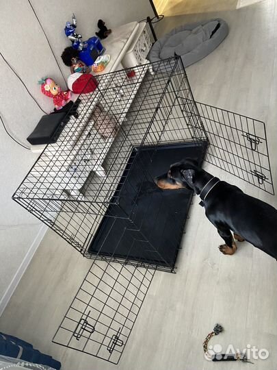 Клетка для собак 5-ка бу