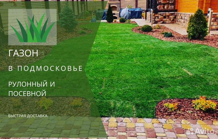 Рулонный газон, посевной газон