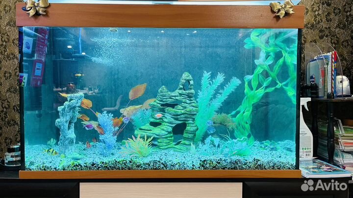 Аквариум