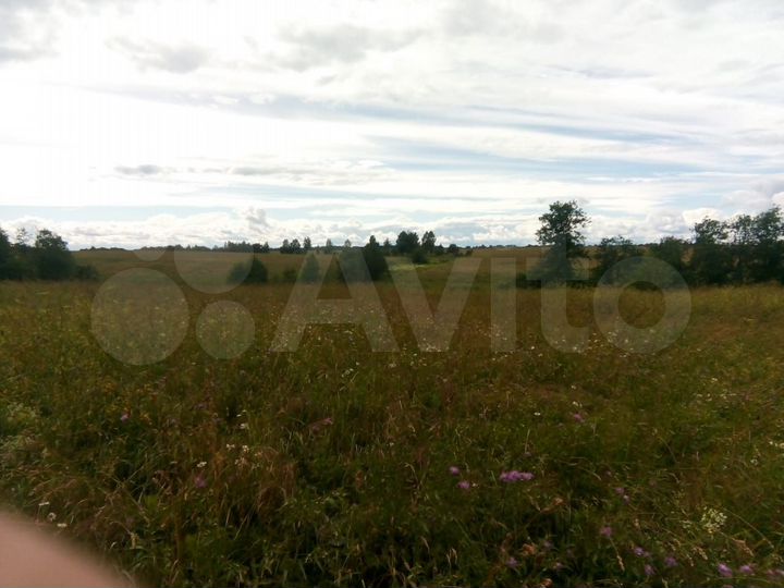 Участок 6 га (СНТ, ДНП)