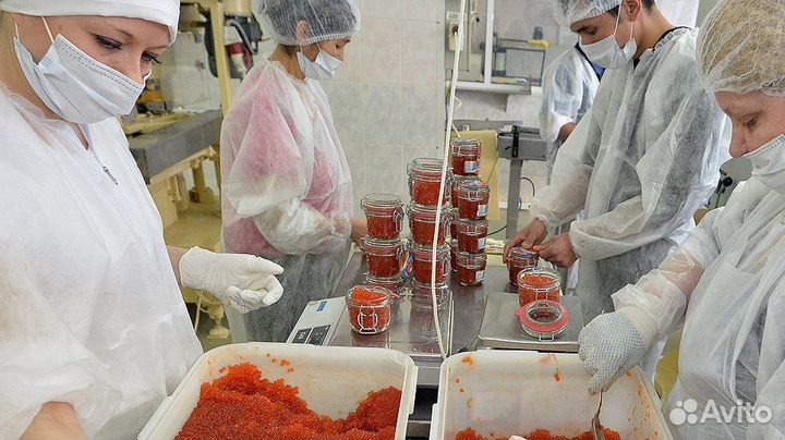 Упаковщик красной икры. Вахта с питание+проживание