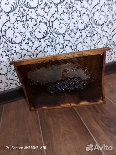 Инвентарь для пчеловодства