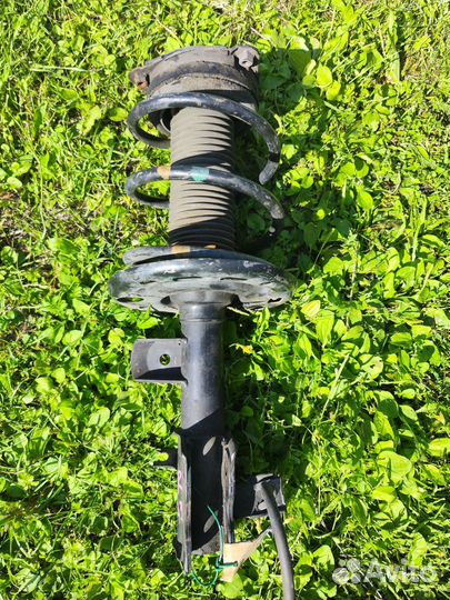 Стойка передняя правая Nissan teana j32