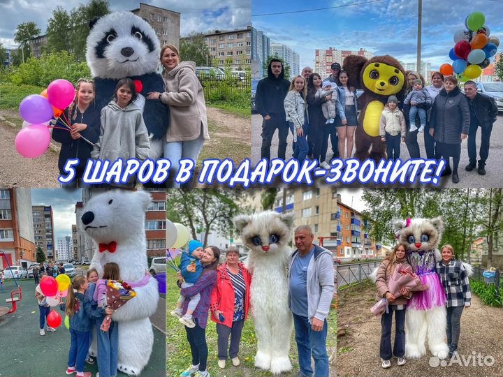 Мишка поздравление аниматор