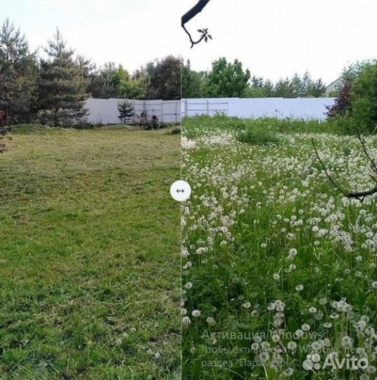 Покос травы