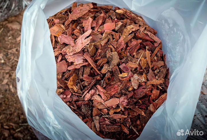 Кора лиственницы