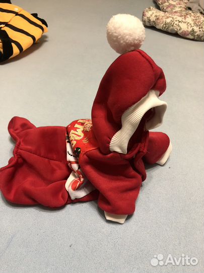 Одежда для мини йорка