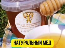 Мёд разнотравье и другие сорта